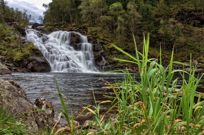 Обои картинки фото природа, водопады, лес, река, водопад