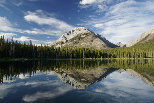 Обои картинки фото природа, реки, озера, лес, река