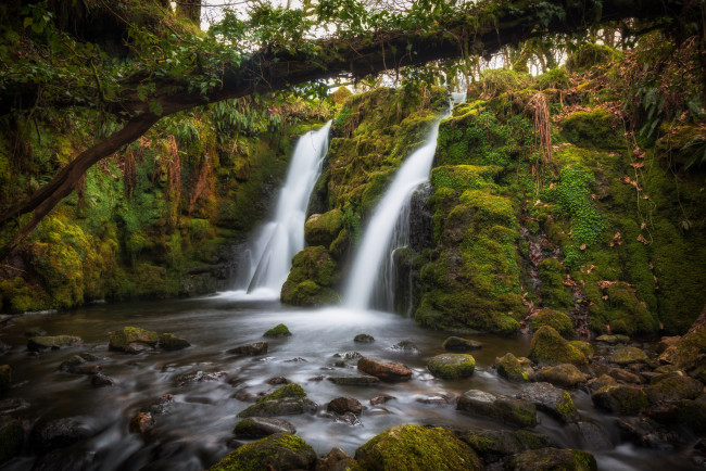 Обои картинки фото природа, водопады, лес, река, водопад