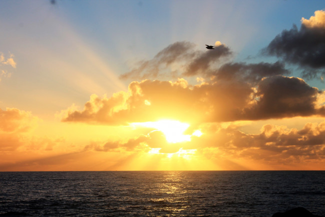 Обои картинки фото природа, восходы, закаты, рассвет