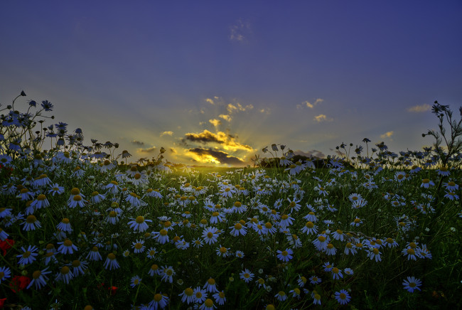 Обои картинки фото природа, восходы, закаты, рассвет