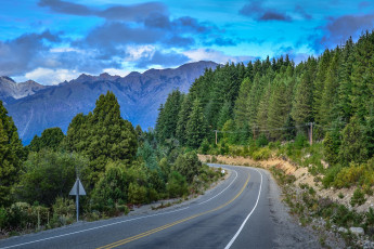 Картинка природа дороги простор