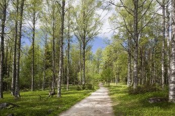 Картинка природа дороги простор