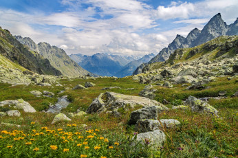 Картинка природа горы тебердинский заповедник фльл призеры хаджибей