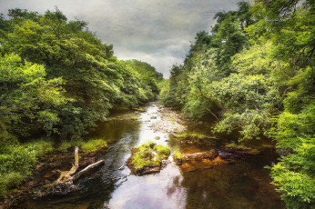 Картинка природа реки озера простор