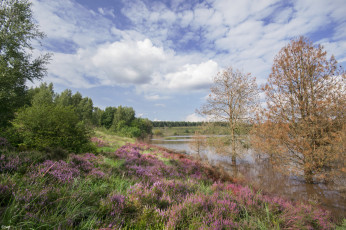 Картинка природа реки озера простор