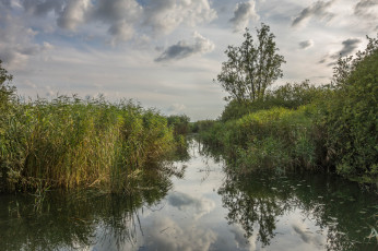 Картинка природа реки озера простор