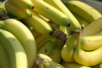 Картинка еда бананы много