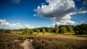 Картинка природа пейзажи простор