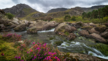 Картинка природа реки озера простор