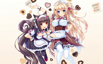 Картинка аниме nekopara