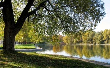 Картинка природа парк лето деревья пруд