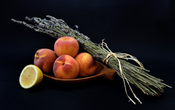 Картинка еда натюрморт снедь