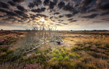 Картинка природа пейзажи простор