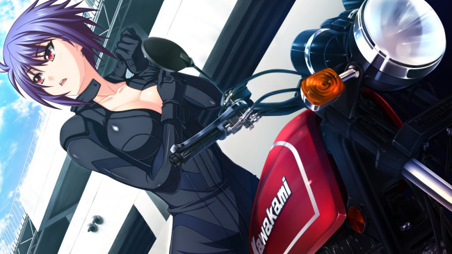 Обои картинки фото аниме, unknown,  другое, minato, carnival, fd