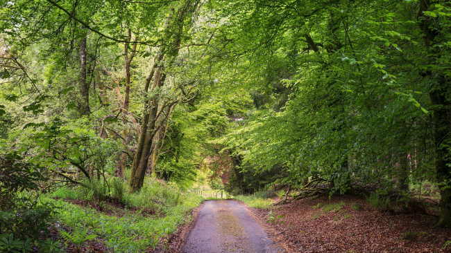 Обои картинки фото природа, дороги, простор