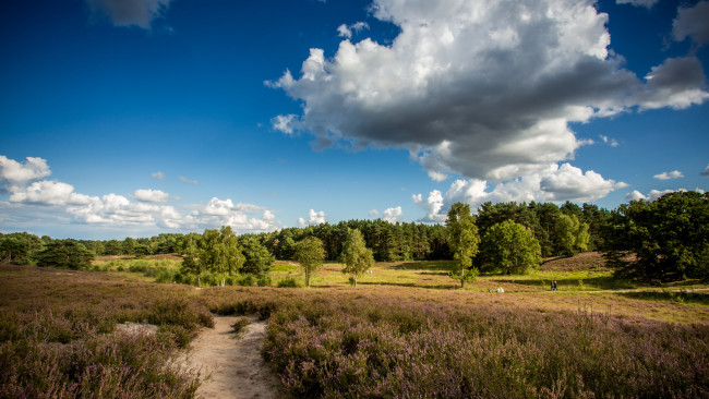 Обои картинки фото природа, пейзажи, простор