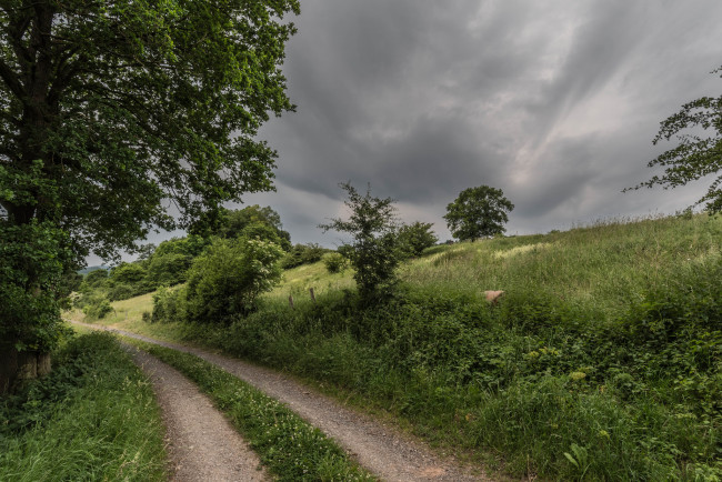 Обои картинки фото природа, дороги, простор