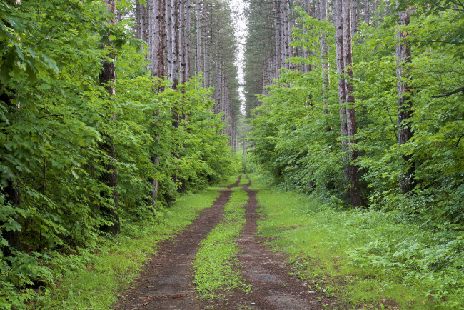 Обои картинки фото природа, дороги, простор