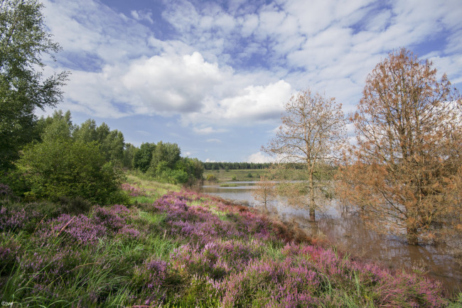 Обои картинки фото природа, реки, озера, простор