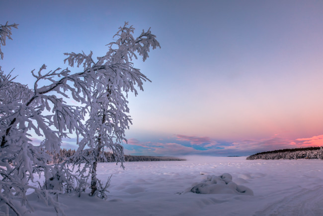 Обои картинки фото природа, зима, простор
