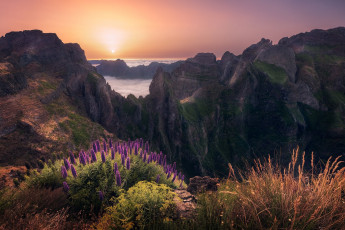 Картинка природа восходы закаты простор