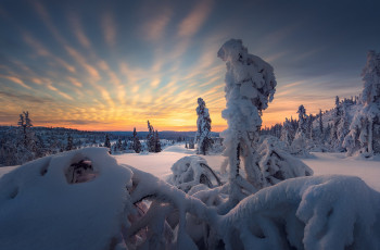 Картинка природа зима простор