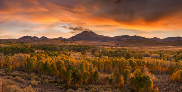 Картинка природа пейзажи простор