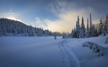 Картинка природа зима простор