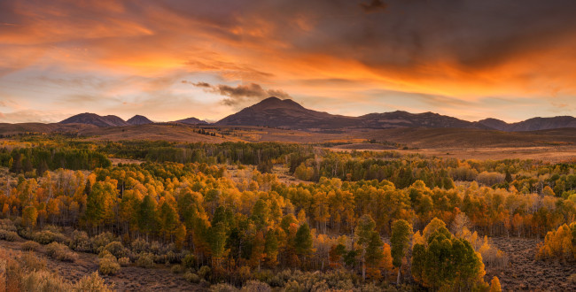 Обои картинки фото природа, пейзажи, простор