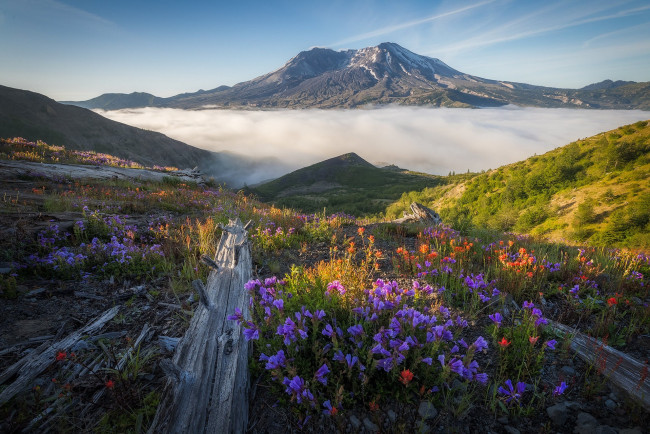 Обои картинки фото природа, луга, простор