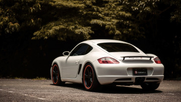 обоя автомобили, porsche, белый, парковка, деревья