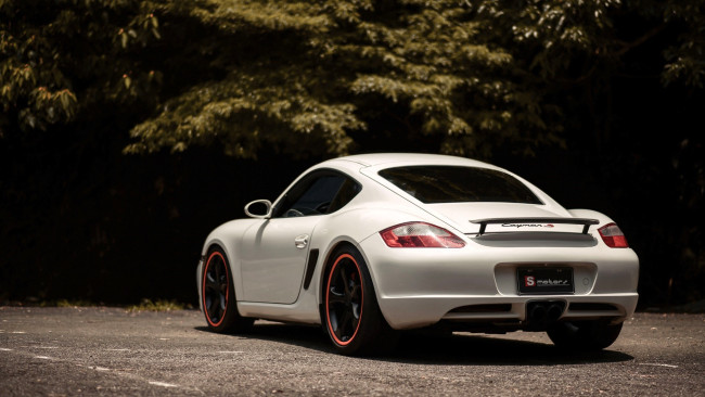 Обои картинки фото автомобили, porsche, белый, парковка, деревья