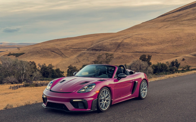 Обои картинки фото автомобили, porsche