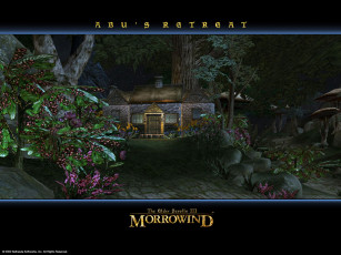 Картинка morrowind видео игры