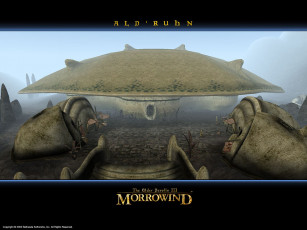 Картинка morrowind видео игры