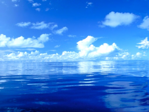 Обои картинки фото 