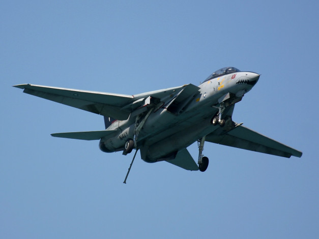 Обои картинки фото f14, авиация, боевые, самолёты