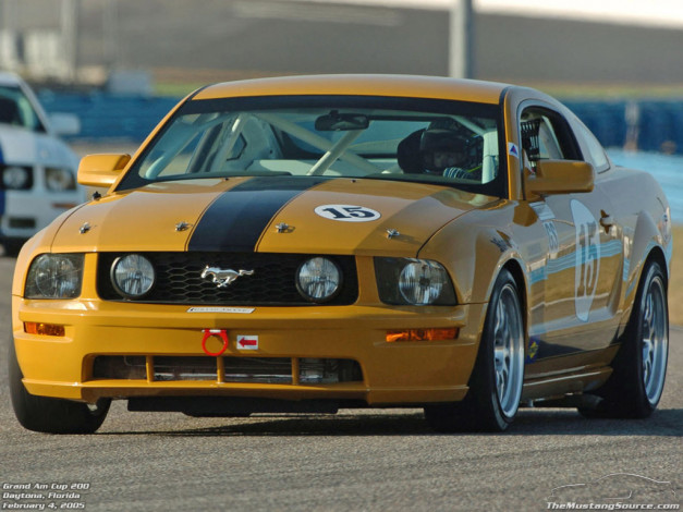 Обои картинки фото ford, mustang, спорт, автоспорт