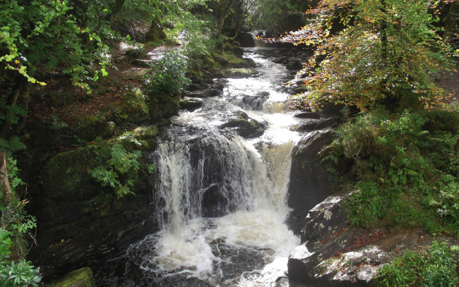 Обои картинки фото природа, водопады, деревья, лес, скалы