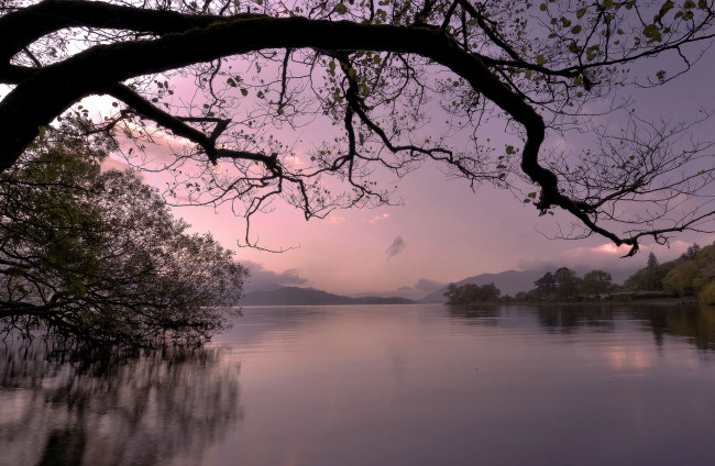 Обои картинки фото природа, реки, озера, деревья, озеро