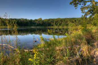 Картинка природа реки озера миннесота