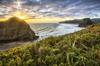 Картинка природа побережье солнце океан