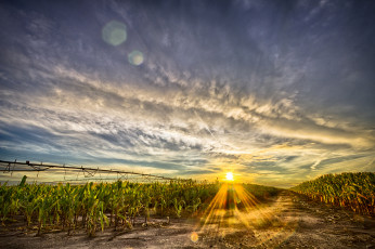 Картинка природа восходы закаты дорога солнце