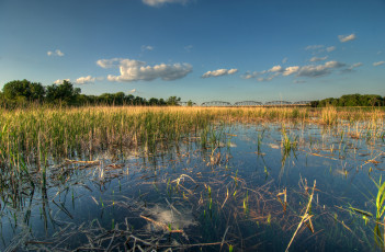 Картинка природа реки озера миннесота