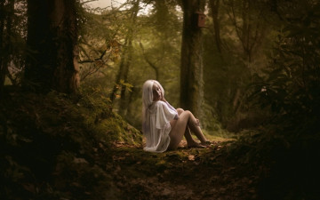 Картинка Fox+Willis девушки лес