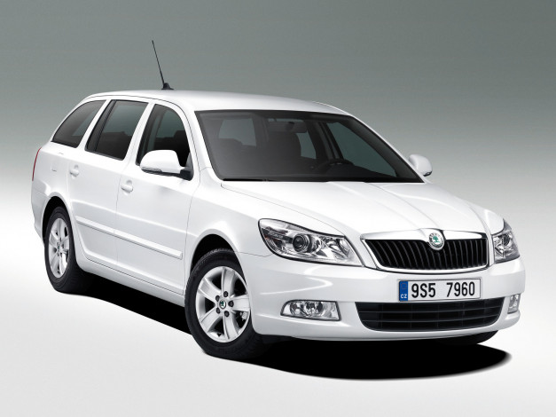 Обои картинки фото автомобили, skoda