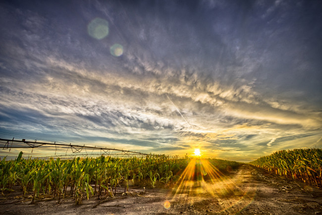 Обои картинки фото природа, восходы, закаты, дорога, солнце