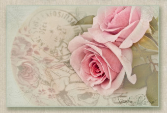 Картинка цветы розы винтаж