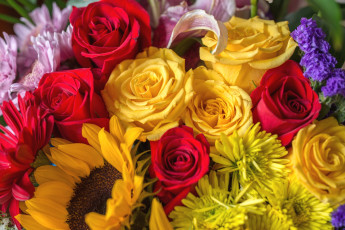 Картинка цветы разные вместе хризантемы подсолнух розы